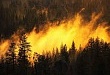 На территории Уватского района произошло 14 пожаров